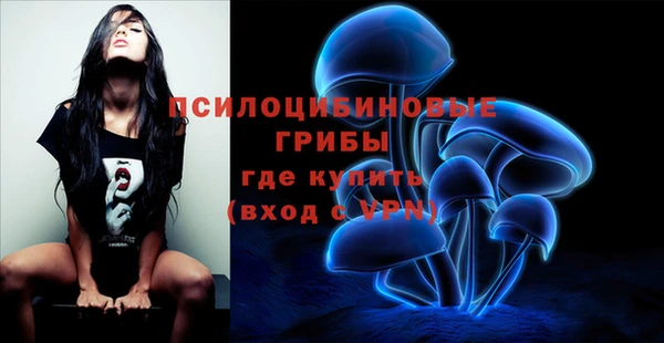 гидропоника Балабаново
