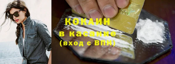 шишки Арсеньев