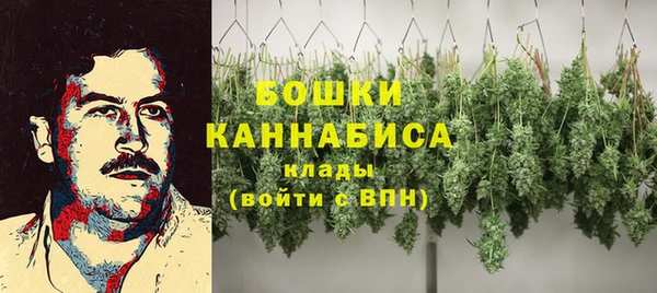 ПСИЛОЦИБИНОВЫЕ ГРИБЫ Армянск