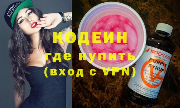 шишки Арсеньев