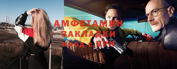 шишки Арсеньев