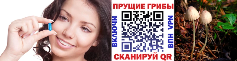 Псилоцибиновые грибы GOLDEN TEACHER  даркнет как зайти  Кологрив  цена наркотик 